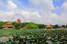 Вьетнам: В Дам Сен Парке откроется новый аквариум